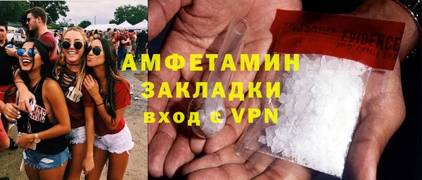 твердый Арсеньев