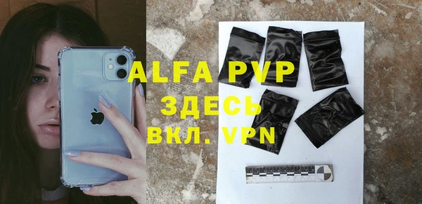 твердый Арсеньев